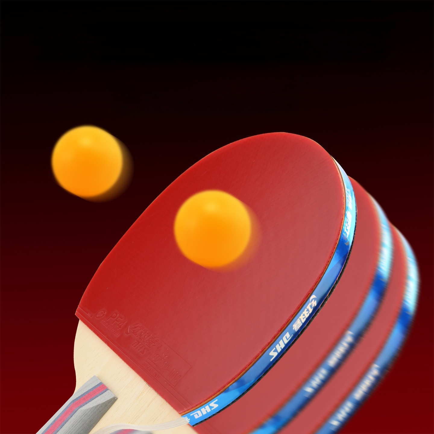 DHS Table Tennis Rackets with  - Outdoor Sports Center review and price