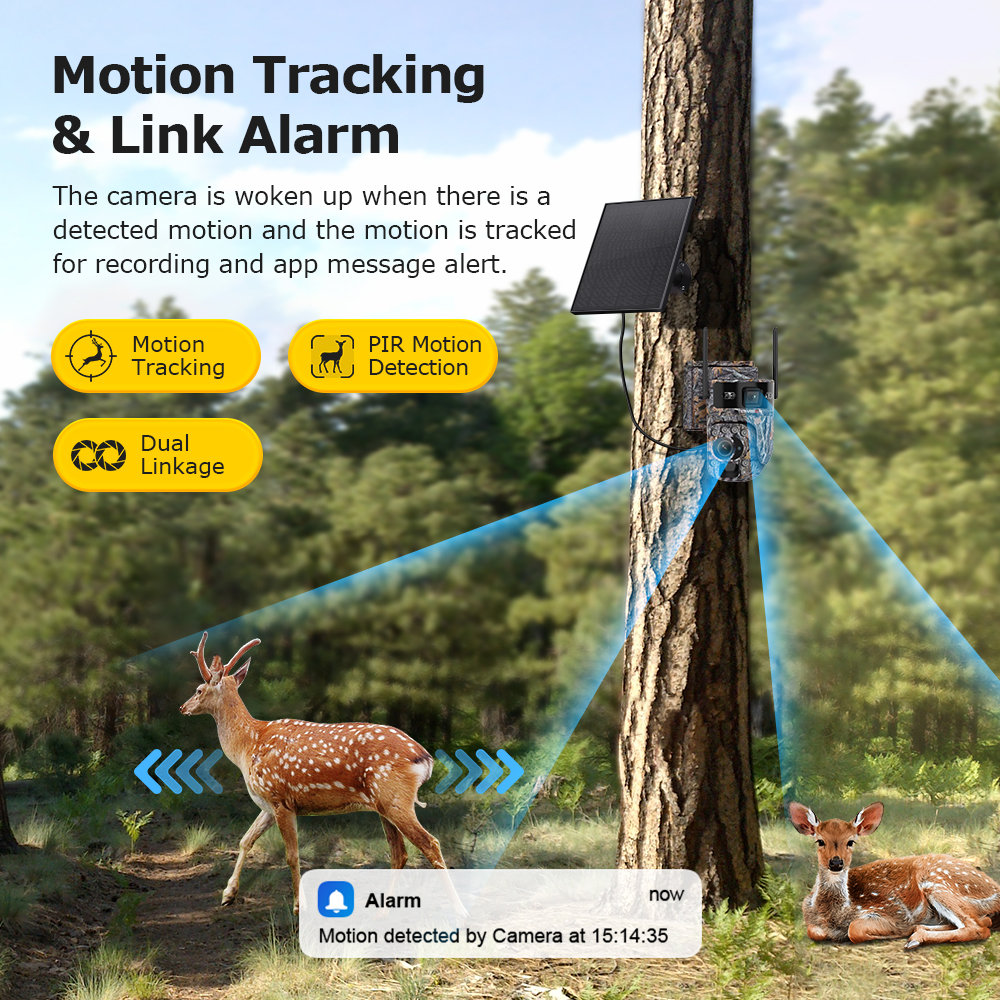 LS VISION 60X Zoom Trail Camer - Outdoor Sport Camera review and price