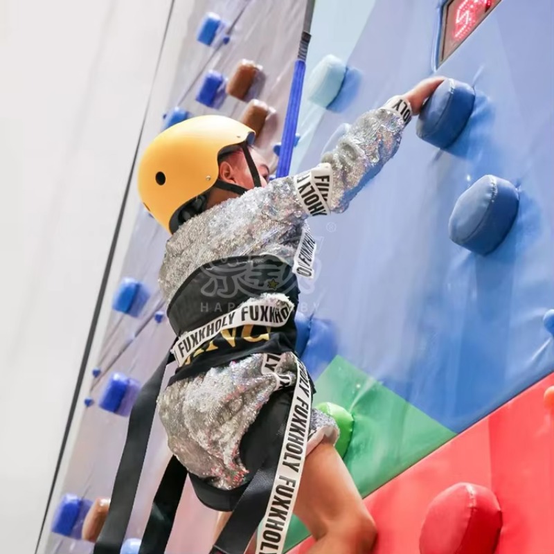 Professional Rock Climbing Wal - Outdoor Sports Center review and price